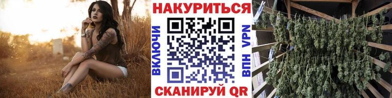 Бошки Шишки AK-47  Сусуман 